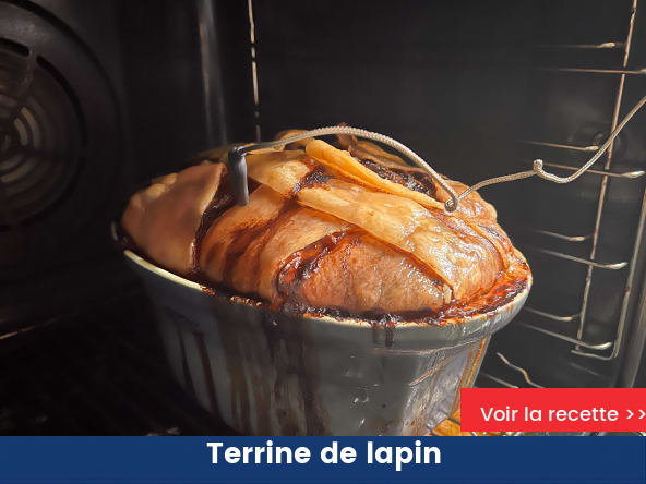 Terrine de lapin